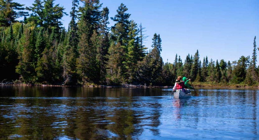 a canoe is paddled away from the camera on calm blue water. there are evergreen trees on the shore.